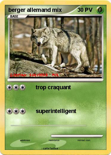 Pokemon berger allemand mix