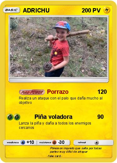 Pokemon ADRICHU