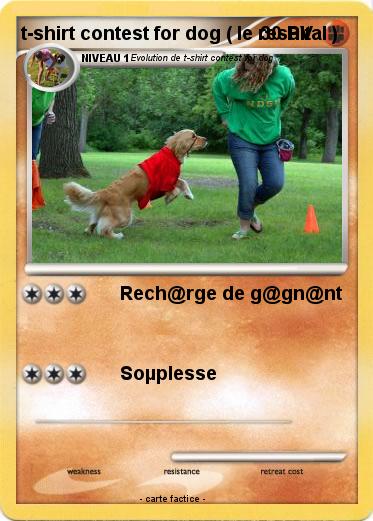 Pokemon t-shirt contest for dog ( le resultal )