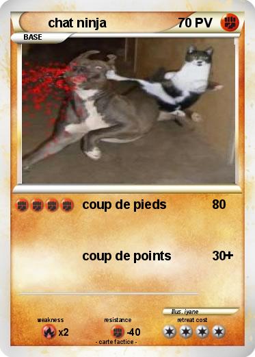 Pokemon chat ninja