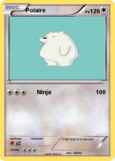 Pokemon Polaire