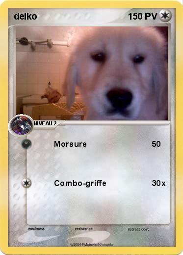 Pokemon delko