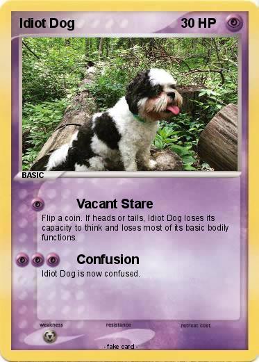 Pokemon Idiot Dog