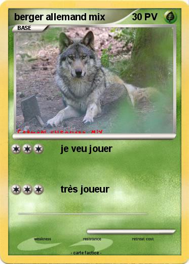 Pokemon berger allemand mix