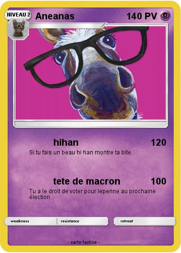 Pokemon Aneanas