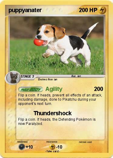 Pokemon puppyanater