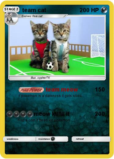 Pokemon team cat