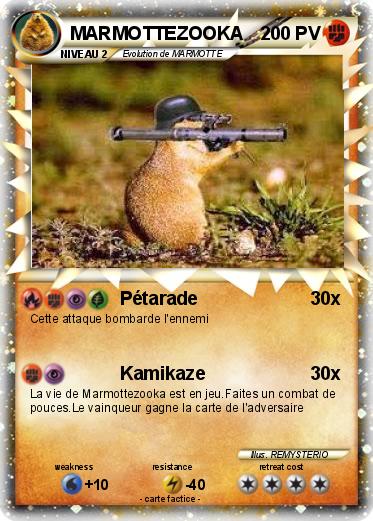 Pokemon MARMOTTEZOOKA