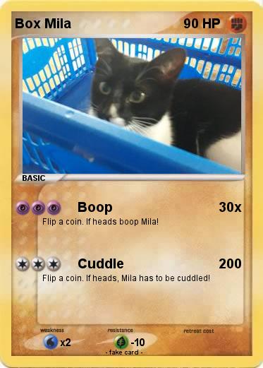 Pokemon Box Mila
