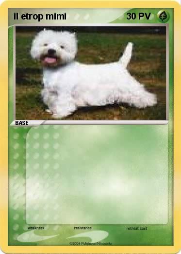 Pokemon il etrop mimi