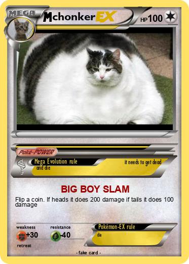 Pokemon chonker