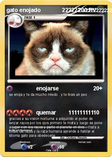 Pokemon gato enojado              222222