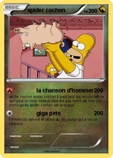 Pokemon spider cochon