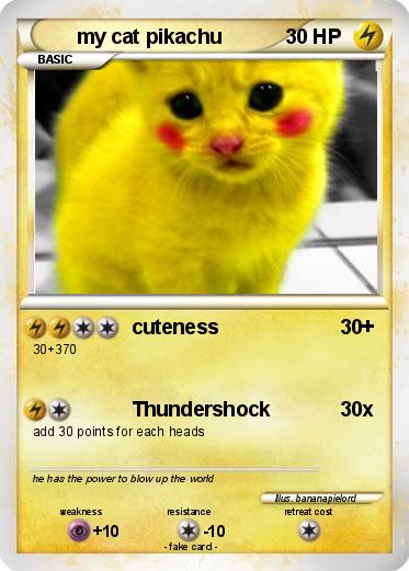 Pokemon my cat pikachu