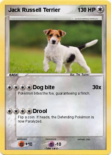 Pokemon Jack Russell Terrier