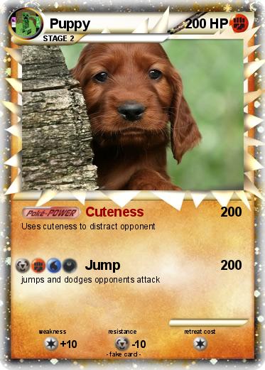 Pokemon Puppy