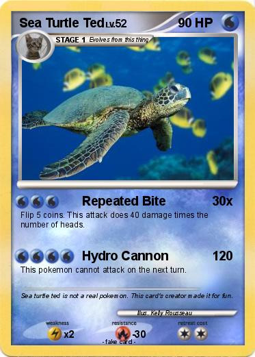 Pokemon Sea Turtle Ted