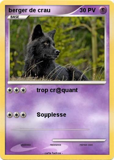 Pokemon berger de crau
