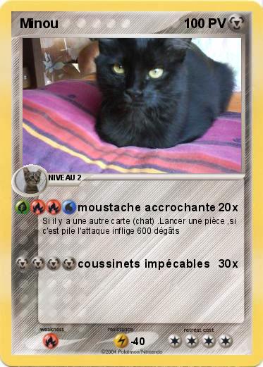 Pokemon Minou