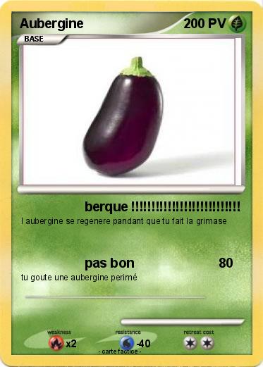 Pokemon Aubergine