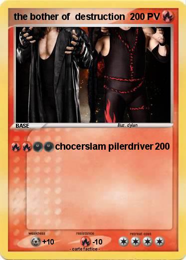 Pokemon the bother of  destruction