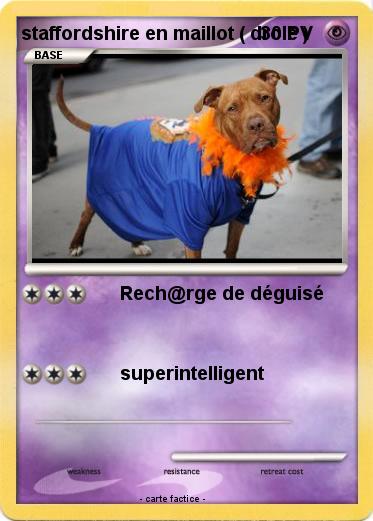 Pokemon staffordshire en maillot ( drôle )