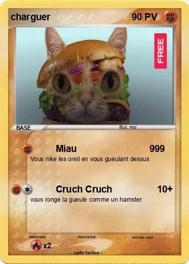 Pokemon charguer