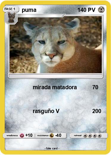 Pokemon puma