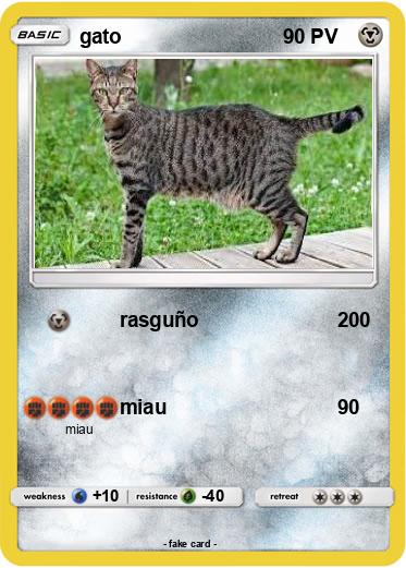 Pokemon gato