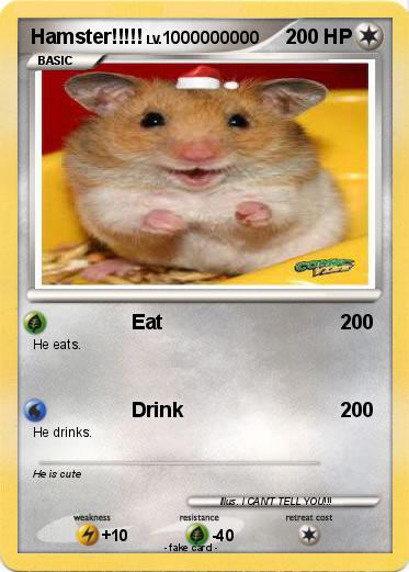 Pokemon Hamster!!!!!
