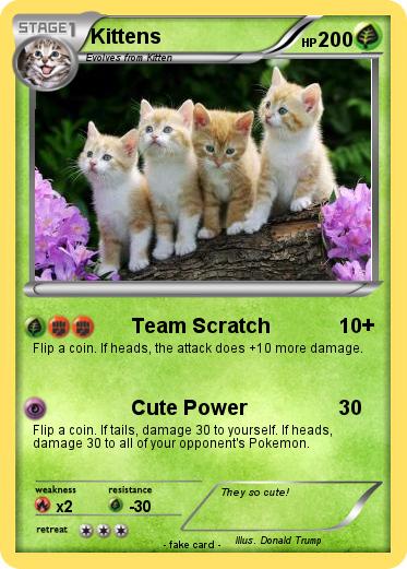 Pokemon Kittens