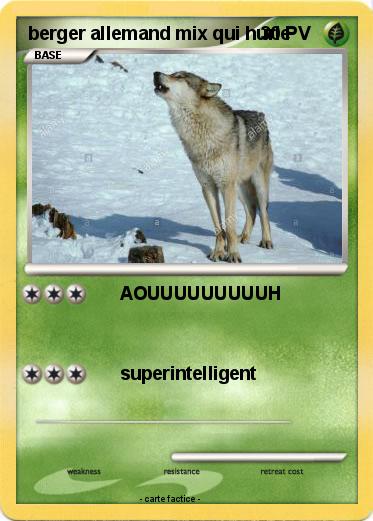 Pokemon berger allemand mix qui hurle
