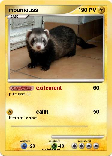 Pokemon moumouss
