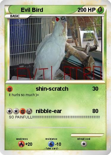 Pokemon Evil Bird