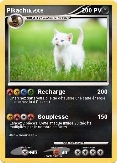 Pokemon Milly EX