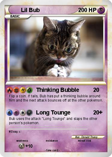 Pokemon Lil Bub
