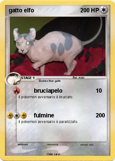 Pokemon gatto elfo