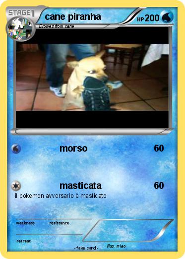 Pokemon cane piranha