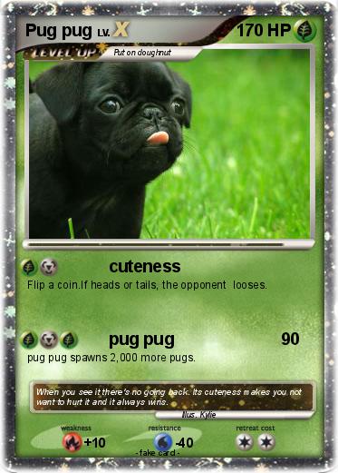 Pokemon Pug pug