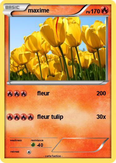 Pokemon maxime