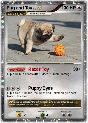 Pokemon Pug and Toy