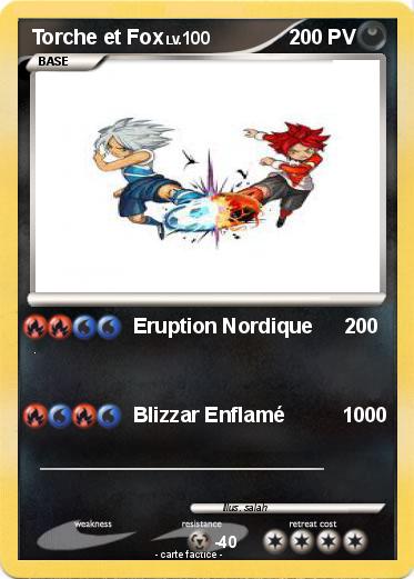 Pokemon Torche et Fox