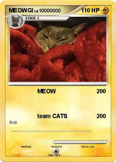Pokemon MEOWGI