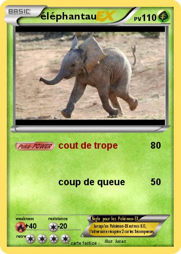 Pokemon éléphantau