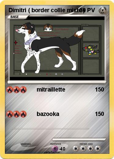 Pokemon Dimitri ( border collie mixte )