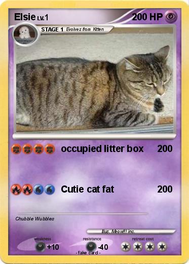 Pokemon Elsie