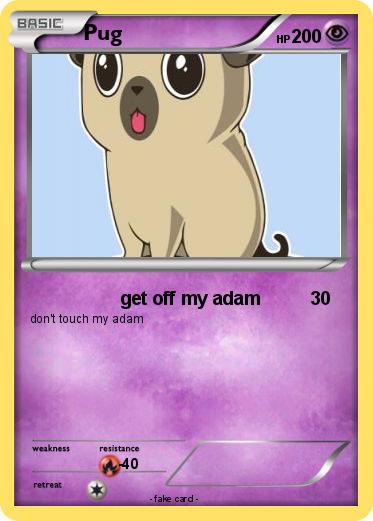 Pokemon Pug
