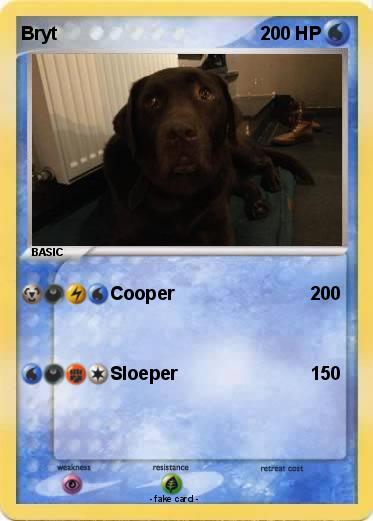 Pokemon Bryt