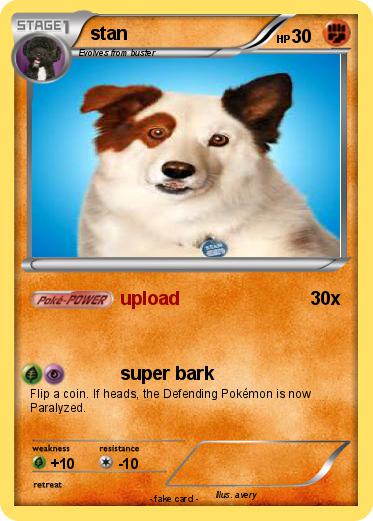 Pokemon stan