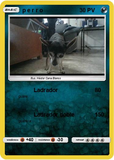 Pokemon p e r r o
